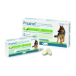 prazitel*20cpr cani t/grande