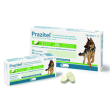 prazitel*20cpr cani t/grande