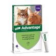 advantage spot-on per gatti grandi e conigli grandi, 4 pipette.
