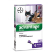 advantage 80mg antiparassitario spot-on per gatti e conigli grandi 4 pipette 0,8ml