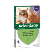 advantage - antiparassitario soluzione spot on pipette gatti e conigli confezione 4 pipette
