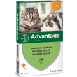 advantage 40mg - soluzione spot on per gatti e conigli piccoli 4 x 0,4 ml