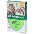 bayer, advantage 40 mg spot-on per gatti piccoli e conigli piccoli, 4 pipette
