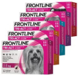 frontline tri-act l 20-40kg 6pip 4ml minsan 104672124