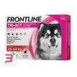 frontline tri-act*3pip 40-60kg
