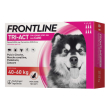 frontline -
