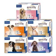effitix spot-on cane medium (10 - 20kg)