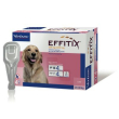 effitix spoton large (20 40kg) 4 pipette