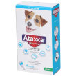 ataxxa 500 mg/100 mg soluzione spot-on per cani da 4 kg a 10 pz p