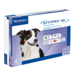 effipro duo*4pip 10-20kg cani