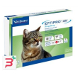 effipro duo*4pip 1-6kg gatti