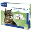 effipro duo gatto