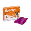 duecto 4pip.1,1ml 67+600mg