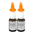 guna heel euphorbium compositum® spray nasale s 2x20 ml nasale