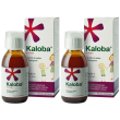 kaloba® sciroppo 2x100 ml sciroppo