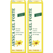 dr. theiss arnica gel forte con 15% tintura all´arnica 2x100 ml