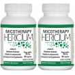 avd micotherapy hericium 2x90 pz capsule