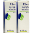 boiron® ribes nigrum gemme 1 dh 2x60 ml estratto