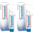 traumeel® s 2x100 g crema