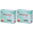 psyllogel® fibra fragola bustine 2x20 pz bustina
