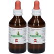 kos ficus carica macerato glicerico 2x100 ml gocce orali