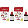 ferrodue gocce 2x15 ml orali