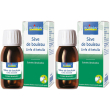 boiron® sève de bouleau linfa di betulla 2x60 ml soluzione orale