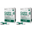 condrostress + cat 30cps 2x1 pz capsule