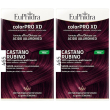 euphidra colorpro xd 465 castano rubino 2x50 ml lozione per capelli