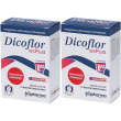 dicoflor ibsplus bustine 2x20 g polvere per soluzione orale