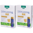 esi biocollagenix forte flaconcini gusto mango 2x300 ml soluzione oral