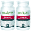 erba vita boswellia 2x24 g capsule