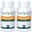 erba vita olio di fegato merluzzo 2x45,3 g perle