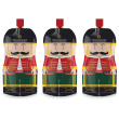 salireid 250ml 3x250 ml soluzione orale