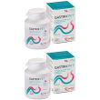 gastrik pet 30 compresse appetibili 2x60 g
