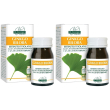 ginkgo biloba estratto titolato 60 pastiglie 2x60 pz