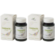 gastractic plus 40 compresse 2x40 pz