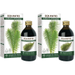 equiseto estratto integrale 200 ml 2x200 ml soluzione orale