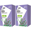 saluz tisana salvia 2x15 pz bustine filtro