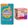pampers quadri progressi mutandino xl 15+ kg + il costumino 5+