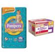 pampers quadri progressi mutandino xxl 17+ kg + il costumino 5
