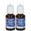 dompé euclorina® afte 2x15 ml collutorio