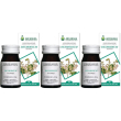 desmodium 60 capsule 500 mg 3x60 pz