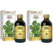 gemmo 10+ fico liquido analcolico 100 ml 2x100 ml soluzione orale