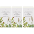 l`erbolario detergente intimo 3x150 ml soluzione