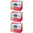 viropa vircistit 3x15 pz bustine filtro