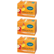 viropa infuso frutta bio 15 bustine 3x15 pz filtro