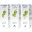 betulla linfa gd 100ml 3x100 ml soluzione