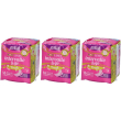 lines intervallo & go fresh 3x16 pz assorbenti