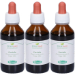 sangalli carciofo foglie tintura madre gocce 3x100 ml soluzione